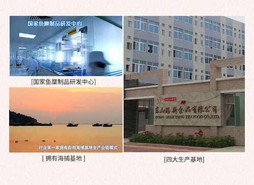 海欣休閑食品手撕蟹肉棒 南寧辦公軟件開發(fā)與銷售團(tuán)隊的理想能量伴侶