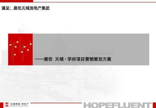 廊坊天域房地產(chǎn)集團項目營銷策劃方案 區(qū)域市場競爭樓盤分析